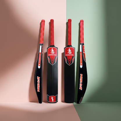 Cricket bat